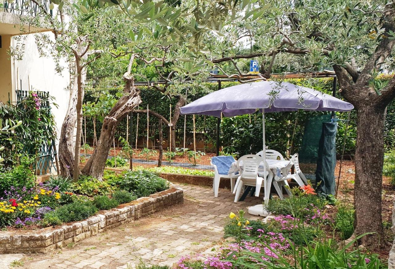 Cecillia Mare Apartments Rovinj Ngoại thất bức ảnh
