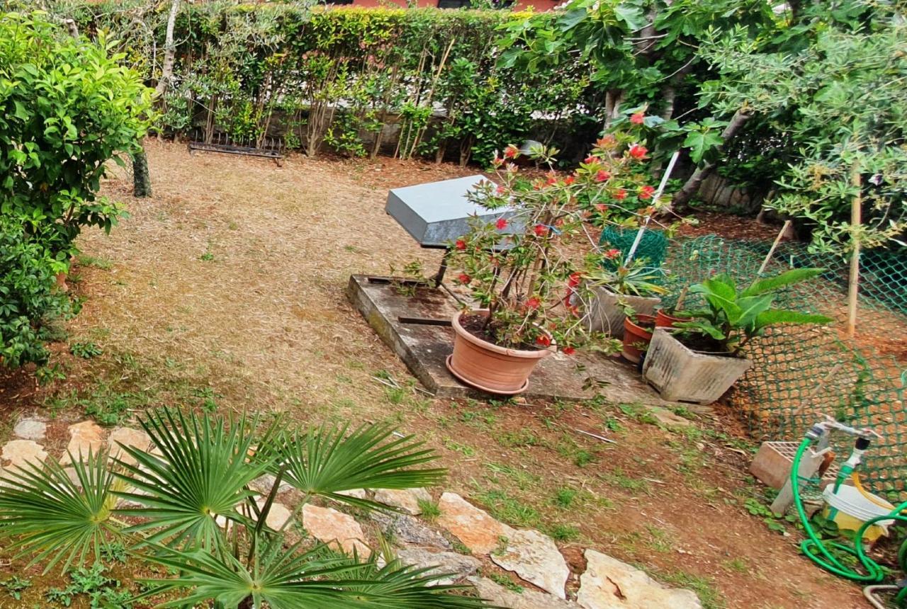 Cecillia Mare Apartments Rovinj Ngoại thất bức ảnh